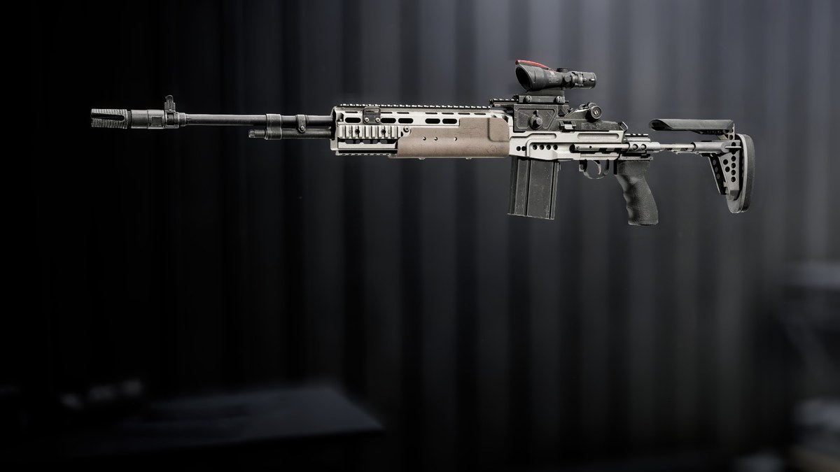 M39 EMR in Battlefield 6